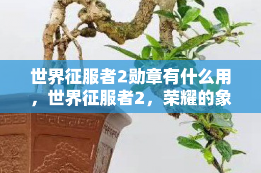 世界征服者2勋章有什么用图片