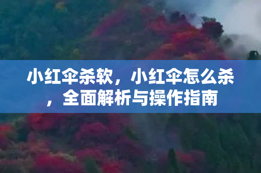 全面解析与操作指南图片