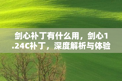 剑心补丁有什么用，剑心1.24C补丁，深度解析与体验分享