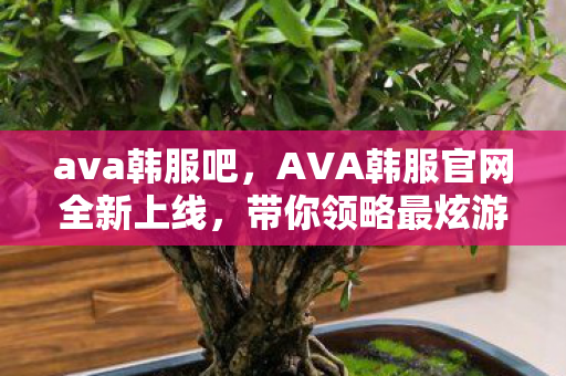 ava韩服吧，AVA韩服官网全新上线，带你领略最炫游戏风采！