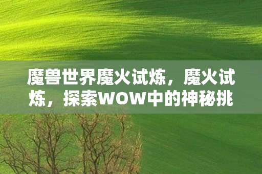 探索WOW中的神秘挑战图片