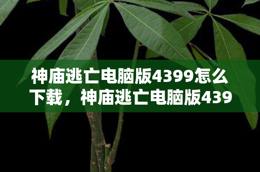 神庙逃亡电脑版4399怎么下载图片