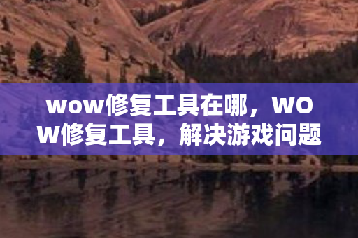wow修复工具在哪图片