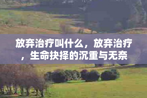 生命抉择的沉重与无奈图片