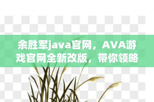 余胜军java官网，AVA游戏官网全新改版，带你领略不一样的游戏世界！