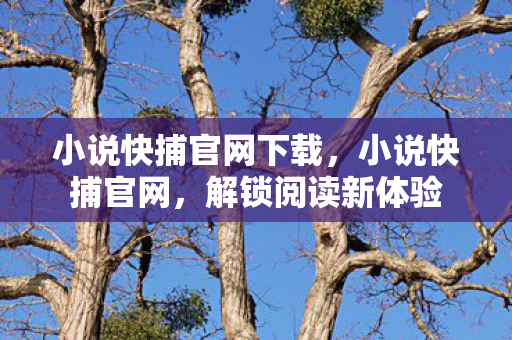 小说快捕官网下载图片