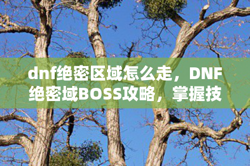 DNF绝密域BOSS攻略图片