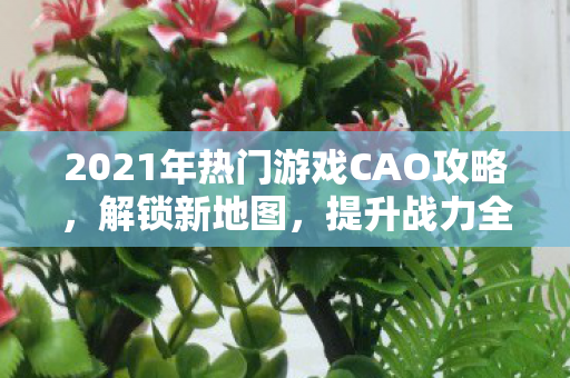 2021年热门游戏CAO攻略图片