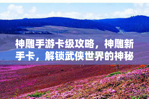 解锁武侠世界的神秘钥匙图片