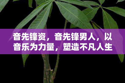 以音乐为力量图片