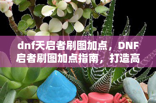 DNF启者刷图加点指南图片