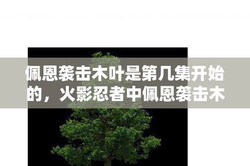 火影忍者中佩恩袭击木叶是第383集到第389集图片