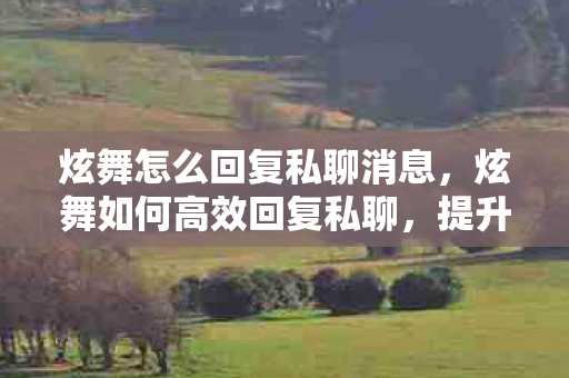 炫舞怎么回复私聊消息图片