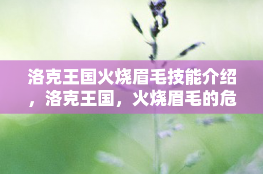 洛克王国火烧眉毛技能介绍图片