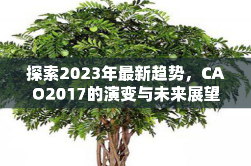 CAO2017的演变与未来展望图片