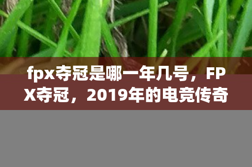 fpx夺冠是哪一年几号图片