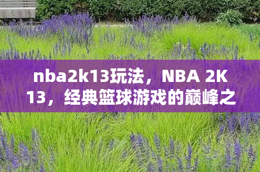 经典篮球游戏的巅峰之作图片