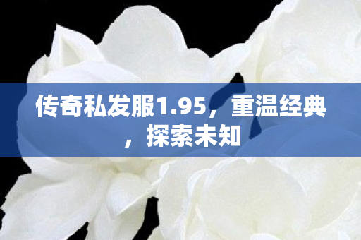 传奇私发服1图片