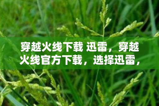 穿越火线下载 迅雷图片