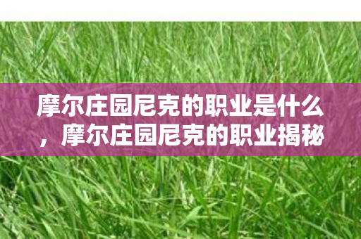 摩尔庄园尼克的职业是什么图片