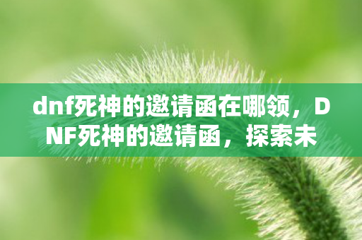 dnf死神的邀请函在哪领图片