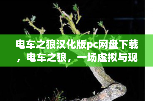 电车之狼汉化版pc网盘下载图片