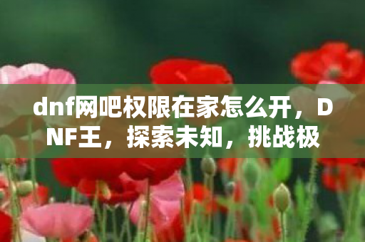 dnf网吧权限在家怎么开图片