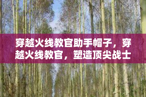 塑造顶尖战士的幕后英雄图片