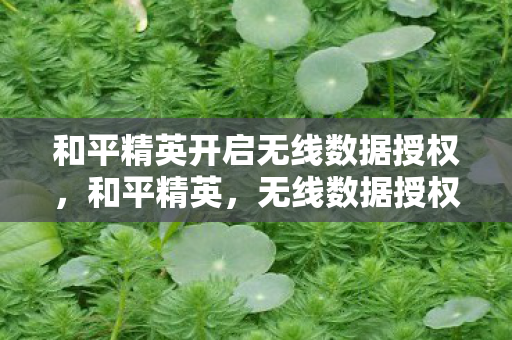 和平精英开启无线数据授权图片
