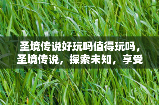 圣境传说好玩吗值得玩吗图片