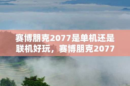 赛博朋克2077是单机还是联机好玩图片