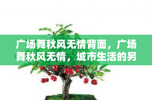 广场舞秋风无情背面图片