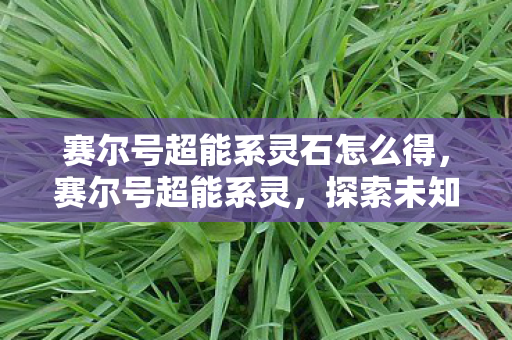 赛尔号超能系灵石怎么得图片