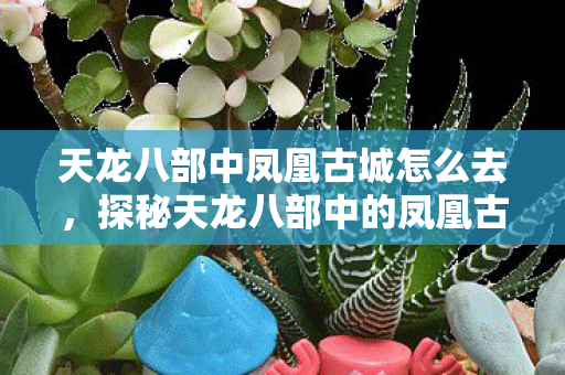 天龙八部中凤凰古城怎么去图片