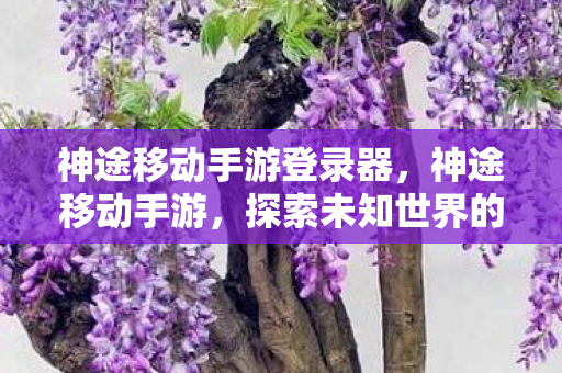 探索未知世界的奇妙之旅图片