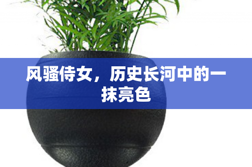 历史长河中的一抹亮色图片