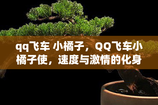 qq飞车 小橘子图片