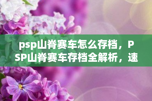 PSP山脊赛车存档全解析图片
