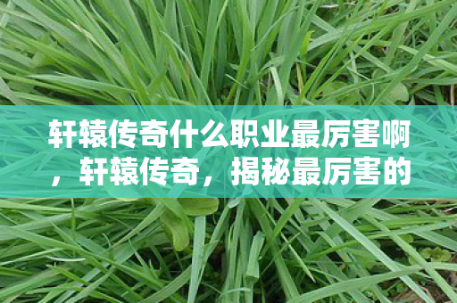 轩辕传奇什么职业最厉害啊图片