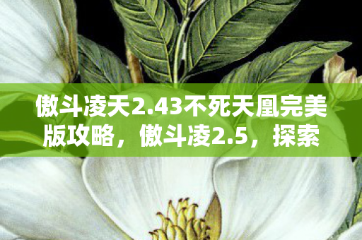 43不死天凰完美版攻略图片