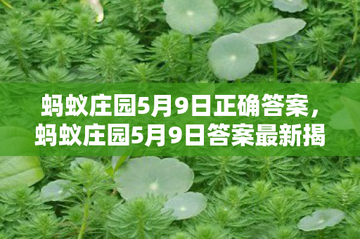 蚂蚁庄园5月9日正确答案，蚂蚁庄园5月9日答案最新揭秘