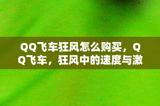 QQ飞车狂风怎么购买图片
