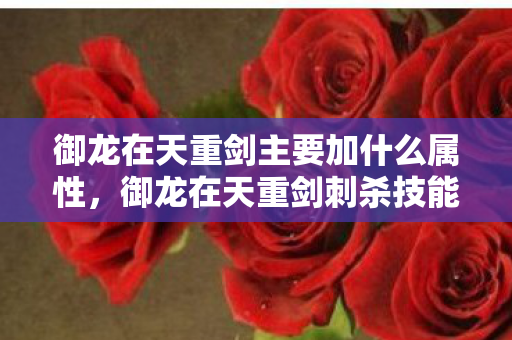 御龙在天重剑刺杀技能加点攻略图片