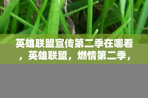 英雄联盟宣传第二季在哪看图片