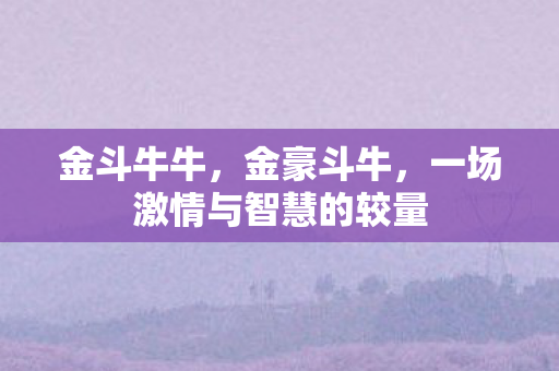 一场激情与智慧的较量图片