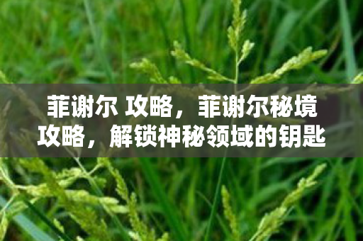 解锁神秘领域的钥匙图片