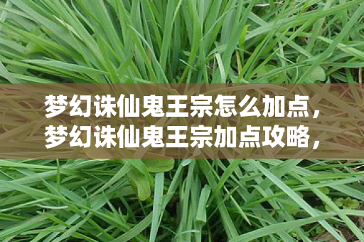 梦幻诛仙鬼王宗怎么加点图片