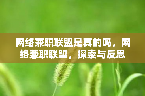 网络兼职联盟是真的吗图片