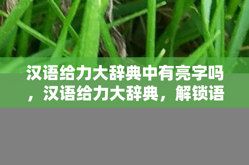 汉语给力大辞典中有亮字吗图片