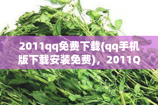 qq手机版下载安装免费图片